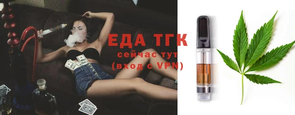 дмт Каменка