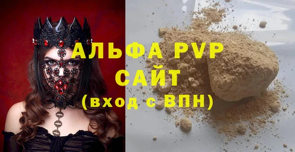 дмт Каменка