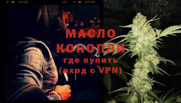 дмт Каменка