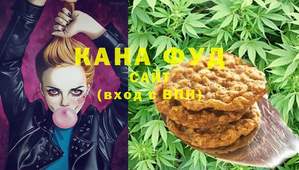 дмт Каменка