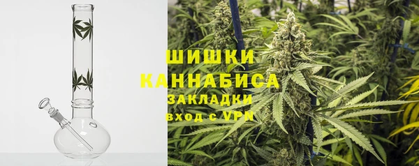дмт Каменка