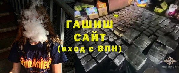 дмт Каменка